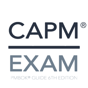PMboard Associate Simulation CAPM Exam Logo